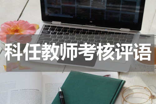 科任教师考核评语