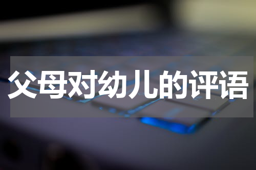 父母对幼儿的评语