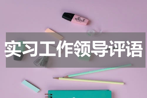 实习工作领导评语