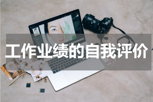 工作业绩的自我评价