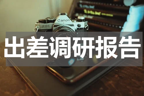 出差调研报告