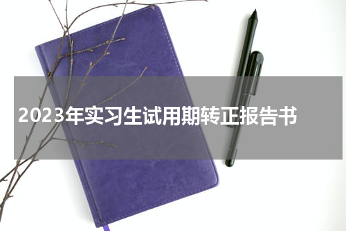 2023年实习生试用期转正报告书