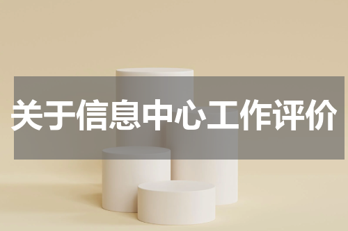 关于信息中心工作评价