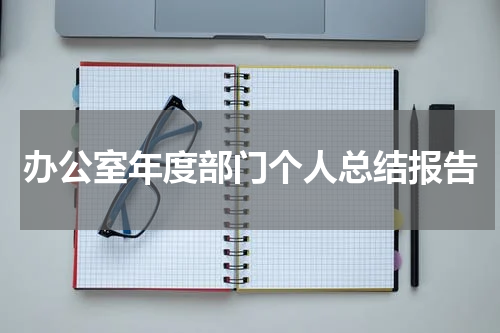 办公室年度部门个人总结报告
