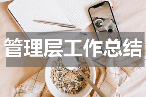 管理层工作总结