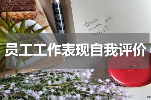 员工工作表现自我评价