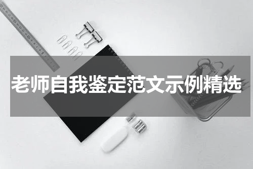 老师自我鉴定范文示例精选