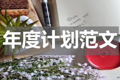 年度计划范文