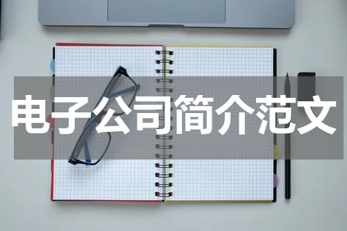 电子公司简介范文