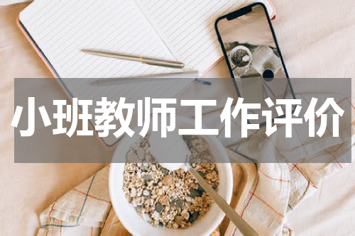 小班教师工作评价