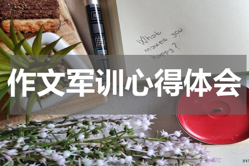 作文军训心得体会