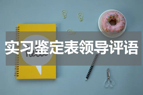 实习鉴定表领导评语