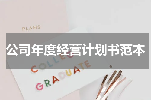 公司年度经营计划书范本
