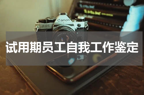试用期员工自我工作鉴定