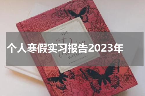个人寒假实习报告2023年