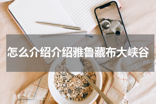 怎么介绍介绍雅鲁藏布大峡谷
