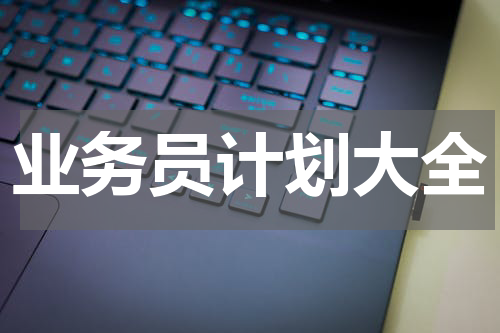 业务员计划大全