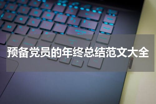 预备党员的年终总结范文大全
