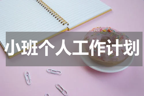 小班个人工作计划