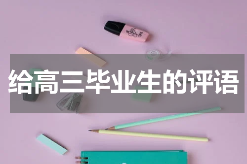给高三毕业生的评语