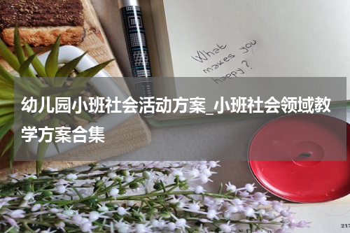 幼儿园小班社会活动方案_小班社会领域教学方案合集