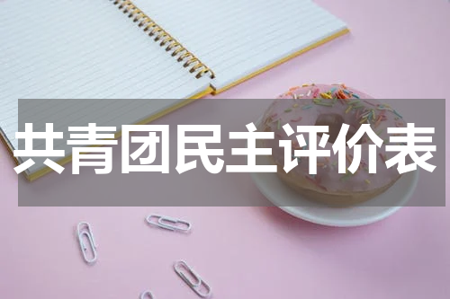 共青团民主评价表