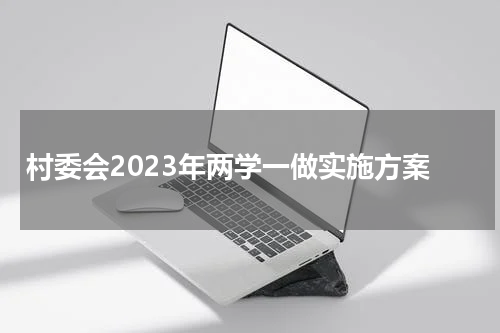 村委会2023年两学一做实施方案