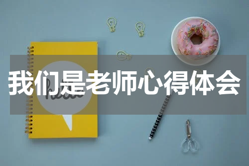 我们是老师心得体会