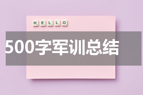 500字军训总结