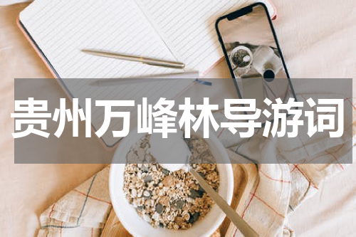 贵州万峰林导游词