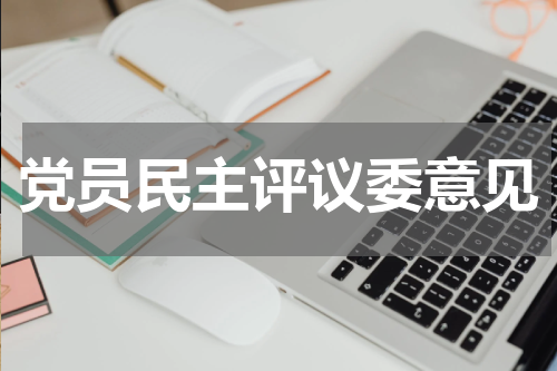 党员民主评议委意见