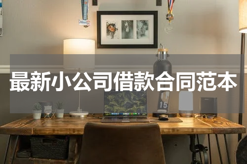 最新小公司借款合同范本
