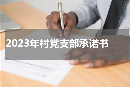 2023年村党支部承诺书
