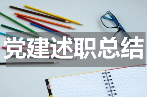 党建述职总结