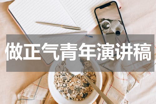 做正气青年演讲稿