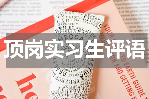 顶岗实习生评语
