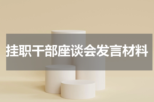 挂职干部座谈会发言材料
