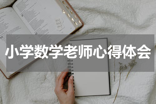 小学数学老师心得体会