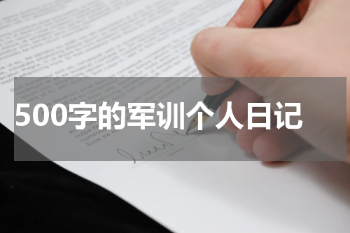 500字的军训个人日记
