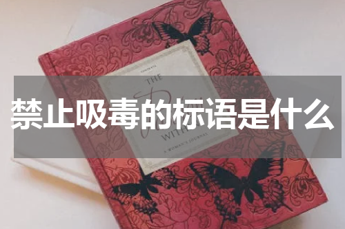 禁止吸毒的标语是什么