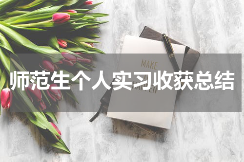 师范生个人实习收获总结