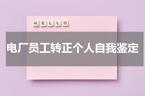 电厂员工转正个人自我鉴定
