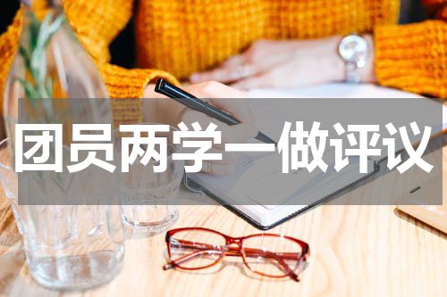 团员两学一做评议