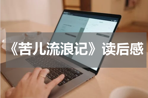 《苦儿流浪记》读后感