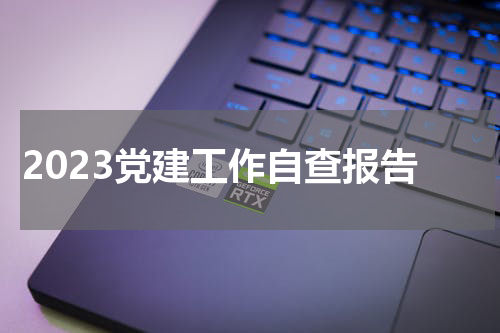 2023党建工作自查报告