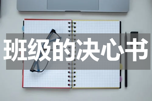 班级的决心书