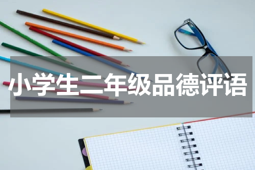 小学生二年级品德评语