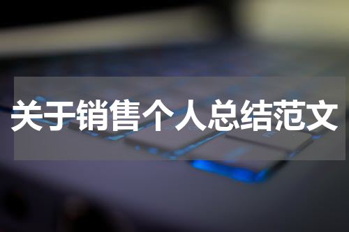 关于销售个人总结范文
