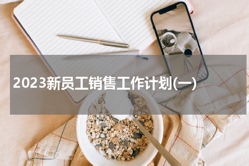 2023新员工销售工作计划(一)