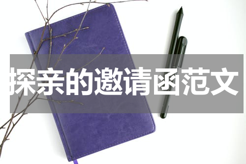探亲的邀请函范文